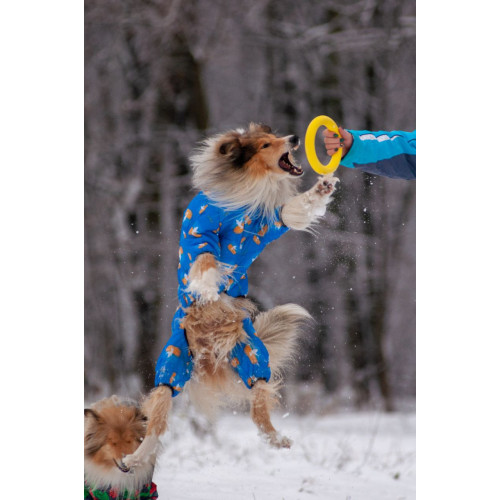 Комбінезон для собак WAUDOG Clothes з малюнком "Прапор"