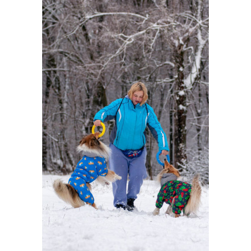 Комбінезон для собак WAUDOG Clothes з малюнком "Прапор"