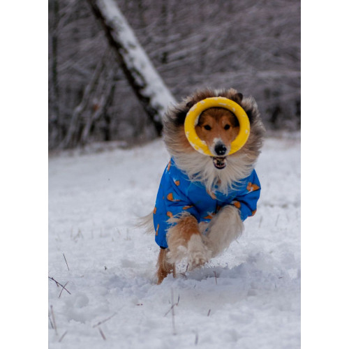 Комбінезон для собак WAUDOG Clothes з малюнком "Прапор"