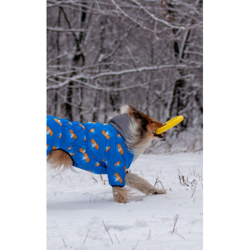 Комбінезон для собак WAUDOG Clothes з малюнком "Прапор"