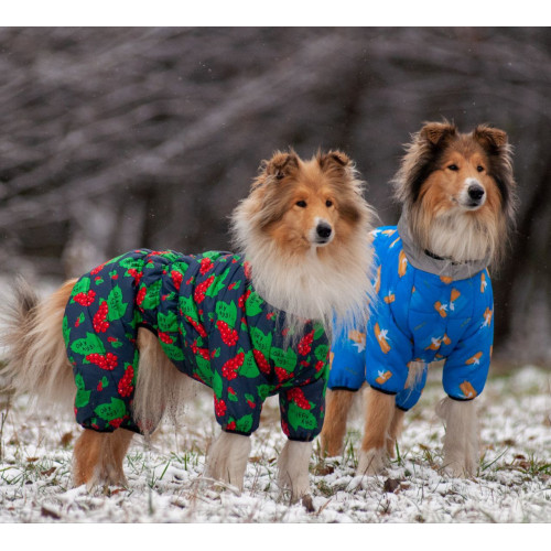 Комбінезон для собак WAUDOG Clothes з малюнком "Прапор"