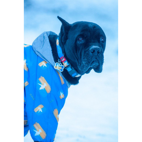 Комбінезон для собак WAUDOG Clothes з малюнком "Прапор"