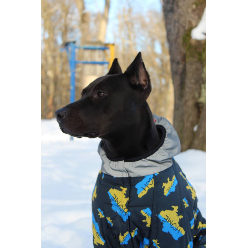 Комбинезон для собак WAUDOG Clothes с рисунком "Дом"