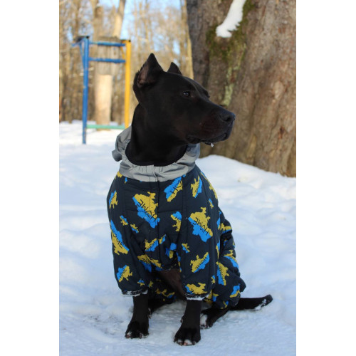 Комбинезон для собак WAUDOG Clothes с рисунком "Дом"