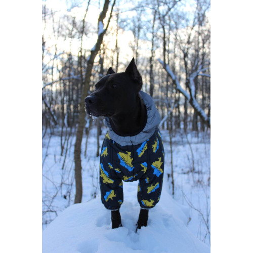 Комбинезон для собак WAUDOG Clothes с рисунком "Дом"