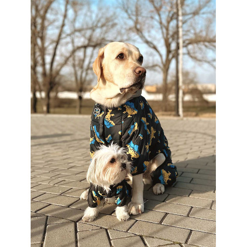 Комбинезон для собак WAUDOG Clothes с рисунком "Дом"