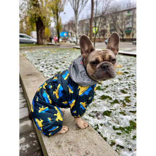 Комбинезон для собак WAUDOG Clothes с рисунком "Дом"