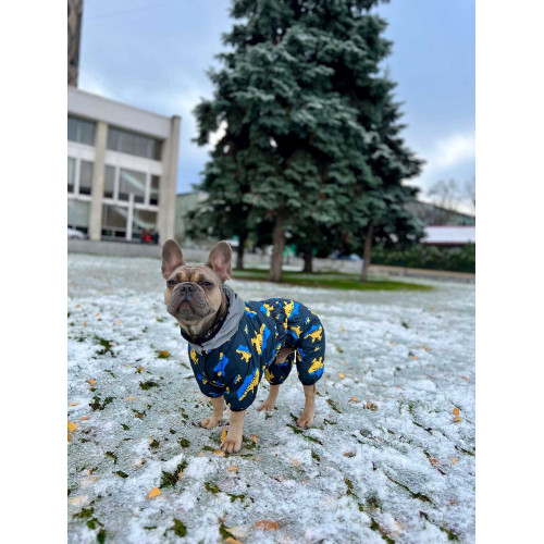 Комбинезон для собак WAUDOG Clothes с рисунком "Дом"