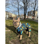 Комбинезон для собак WAUDOG Clothes с рисунком "Дом"