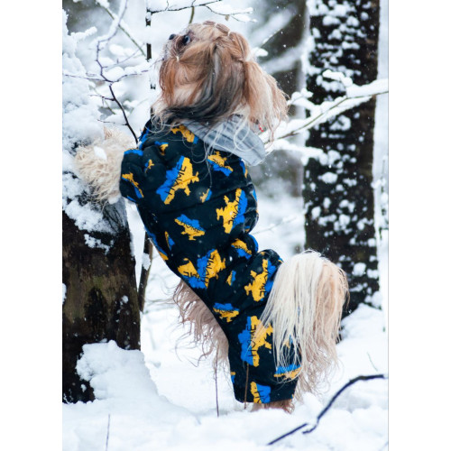 Комбинезон для собак WAUDOG Clothes с рисунком "Дом"