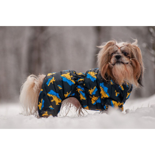 Комбинезон для собак WAUDOG Clothes с рисунком "Дом"