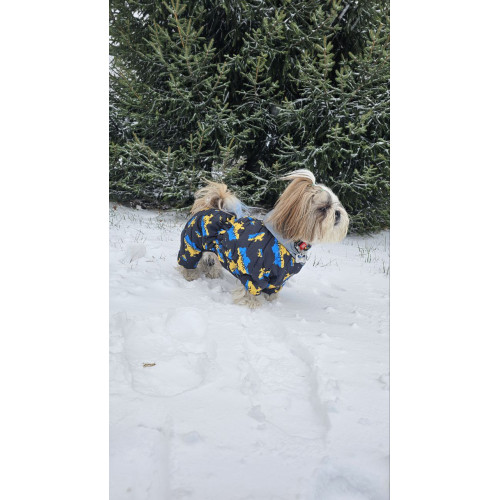 Комбинезон для собак WAUDOG Clothes с рисунком "Дом"