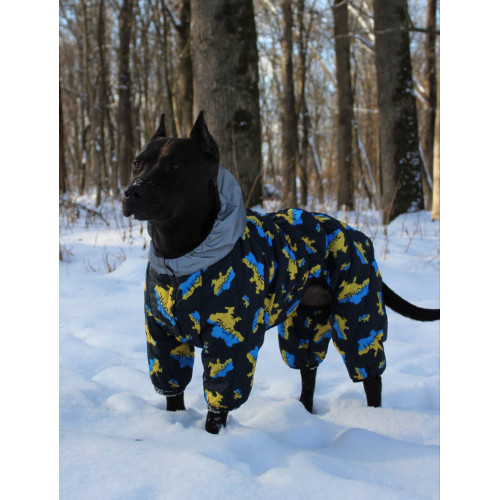 Комбинезон для собак WAUDOG Clothes с рисунком "Дом"