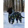Комбинезон для собак WAUDOG Clothes с рисунком "Дом"