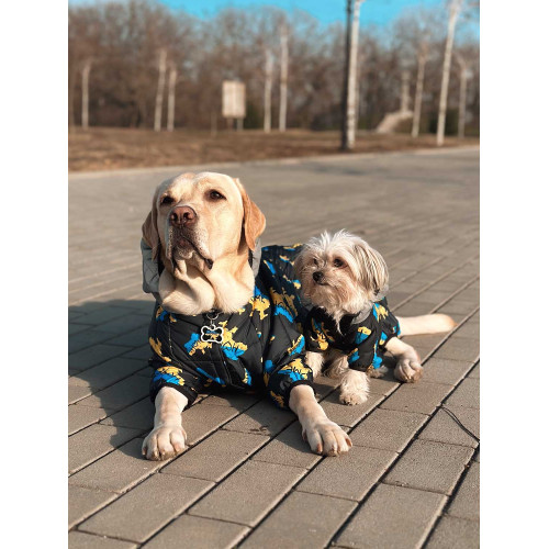 Комбинезон для собак WAUDOG Clothes с рисунком "Дом"