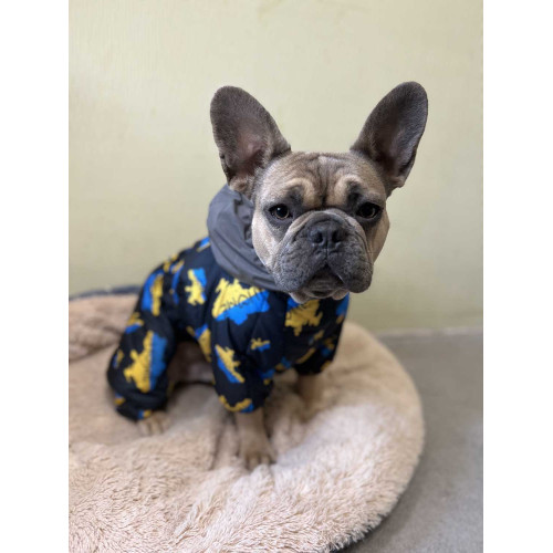 Комбинезон для собак WAUDOG Clothes с рисунком "Дом"