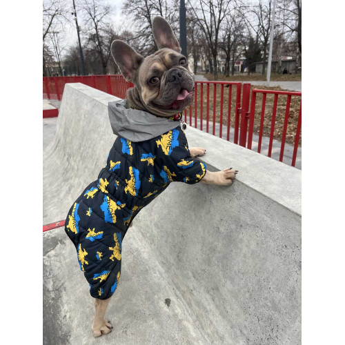 Комбинезон для собак WAUDOG Clothes с рисунком "Дом"