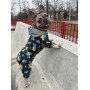 Комбинезон для собак WAUDOG Clothes с рисунком "Дом"