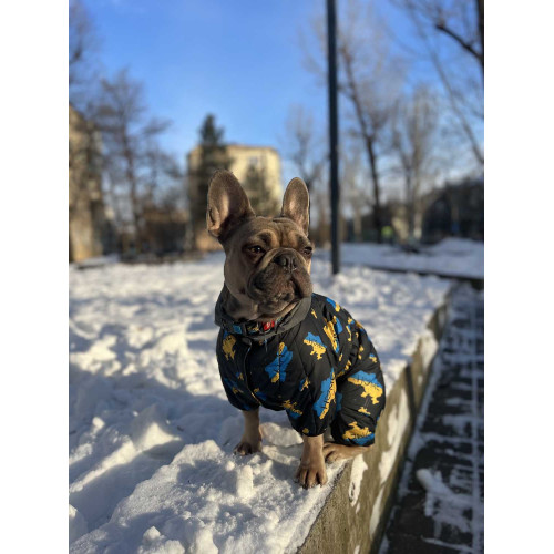 Комбинезон для собак WAUDOG Clothes с рисунком "Дом"