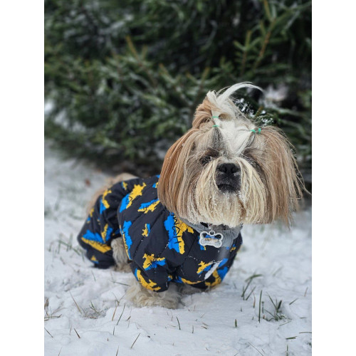 Комбинезон для собак WAUDOG Clothes с рисунком "Дом"