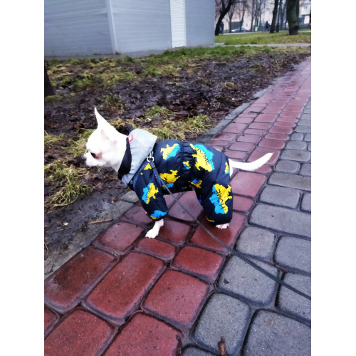 Комбинезон для собак WAUDOG Clothes с рисунком "Дом"