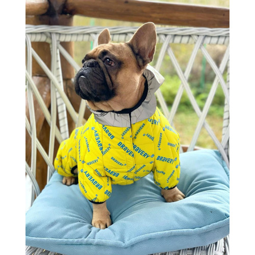 Комбінезон для собак WAUDOG Clothes з малюнком "Сміливість"