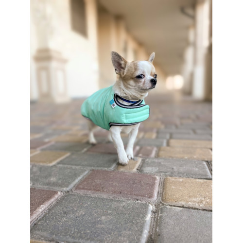 Курточка-накидка для собак AiryVest Lumi світиться у темряві