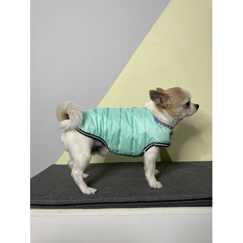 Курточка-накидка для собак AiryVest Lumi світиться у темряві