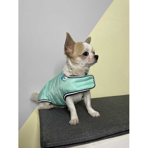 Курточка-накидка для собак AiryVest Lumi світиться у темряві