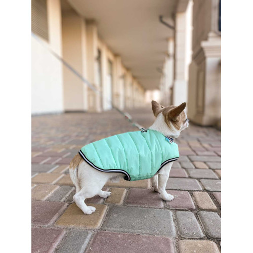 Курточка-накидка для собак AiryVest Lumi світиться у темряві