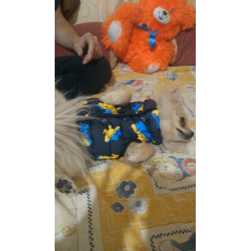 Куртка-жилет для собак WAUDOG Clothes з малюнком "Дім"