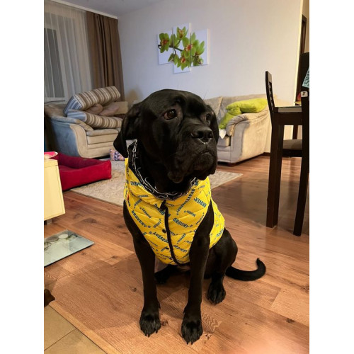 Куртка-жилет для собак WAUDOG Clothes с рисунком "Смелость"