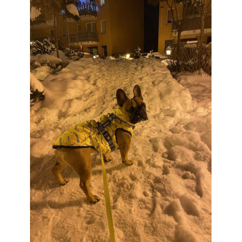 Куртка-жилет для собак WAUDOG Clothes с рисунком "Смелость"