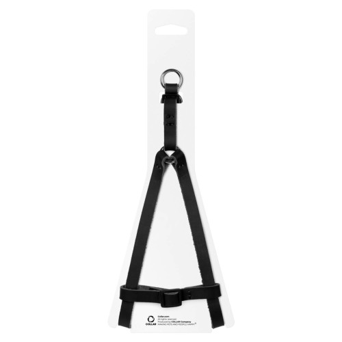 Шлея для котів та дрібних собак шкіряна WAUDOG Classic з QR паспортом Чорна