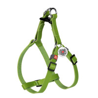 Шлея для котів та дрібних собак шкіряна WAUDOG Classic з QR паспортом Салатова