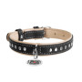 Ошейник для собак WAUDOG Soft кожаный с QR паспортом и металлическими украшениями, черный