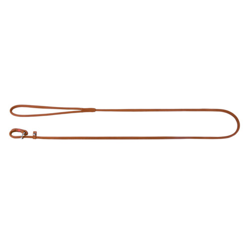 Повідець-зашморг для собак шкіряний WAUDOG Soft, круглий, коричневого кольору, 135 см