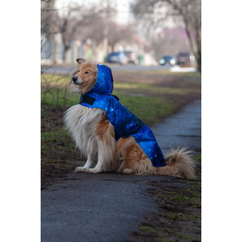 Дощовик-накидка для собак WAUDOG Clothes з капюшоном, малюнок «NASA21»