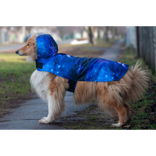 Дощовик-накидка для собак WAUDOG Clothes з капюшоном, малюнок «NASA21»