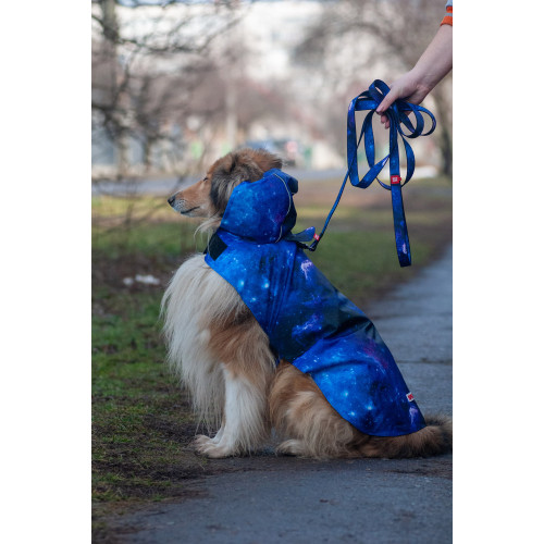 Дощовик-накидка для собак WAUDOG Clothes з капюшоном, малюнок «NASA21»