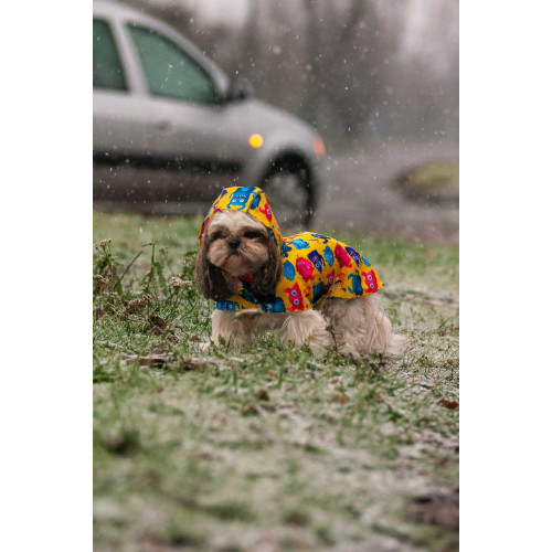 Дощовик-накидка для собак WAUDOG Clothes з капюшоном, малюнок «Мохнаті монстри»