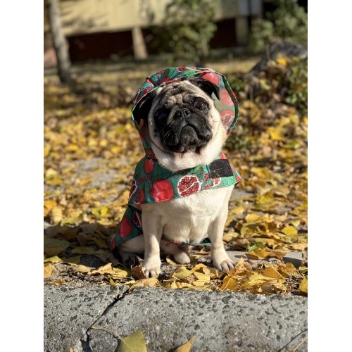 Дощовик-накидка для собак WAUDOG Clothes з капюшоном, малюнок «Гранати»