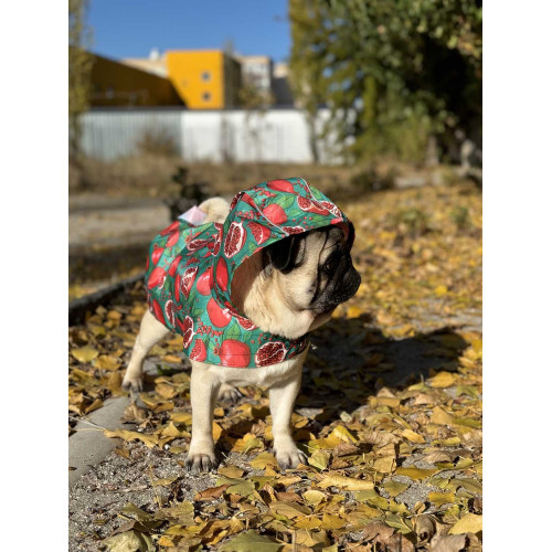 Дощовик-накидка для собак WAUDOG Clothes з капюшоном, малюнок «Гранати»