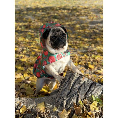 Дощовик-накидка для собак WAUDOG Clothes з капюшоном, малюнок «Гранати»