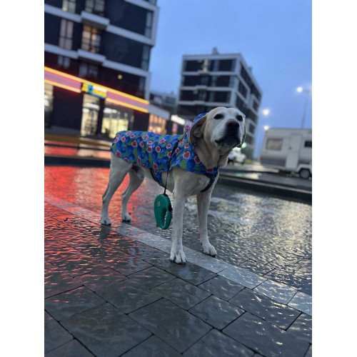 Дождевик-накидка для собак WAUDOG Clothes с капюшоном, рисунок «Инжир»