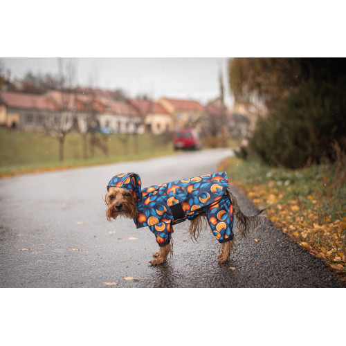 Дощовик-накидка для собак WAUDOG Clothes з капюшоном, малюнок «Апельсини»