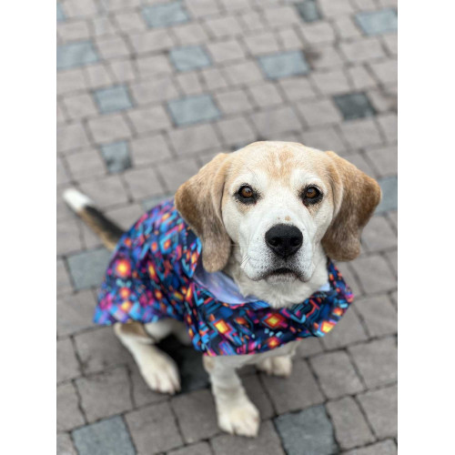 Дощовик-накидка для собак WAUDOG Clothes з капюшоном, малюнок «Нескінченні світи»