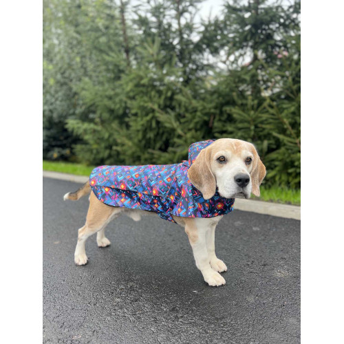 Дощовик-накидка для собак WAUDOG Clothes з капюшоном, малюнок «Нескінченні світи»