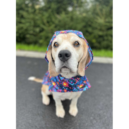 Дощовик-накидка для собак WAUDOG Clothes з капюшоном, малюнок «Нескінченні світи»