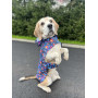 Дощовик-накидка для собак WAUDOG Clothes з капюшоном, малюнок «Нескінченні світи»